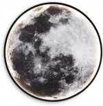 Настенно-потолочный светодиодный светильник Ambrella Wallers Wall FW11112 (220V, круглые)