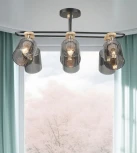 Потолочная люстра Wedo Light Lana WD3608/6C-BK-SMK