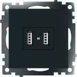 Розетка с USBх2 (черный) Stekker Катрин 39616