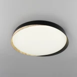 Потолочный светильник RGB круглый Citilux Bonny CL754451G Черный+Клен LED с пультом (220V, круглые)