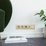 Рамка на 5 постов (шампань алюминий) W0051711 (a052316)