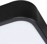 Потолочный светильник Arte Lamp Scena A2669PL-1BK (LED, 220V, пульт управления)