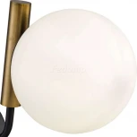 Бра Freya Paolina FR5011WL-01B