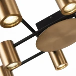 Потолочная люстра ST Luce Veroli SL1207.402.10 (220V)