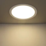 Встраиваемый точечный светильник Elektrostandard DLR003-DLS003 DLR003 24W 4200K (LED, 220V)