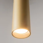 Подвесной светильник Maytoni Pro Focus MOD161PL-01G1 (220V, на проводе, круглые)