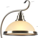 Интерьерная настольная лампа Arte Lamp Safari A6905LT-1AB (220V)