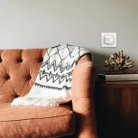 Терморегулятор terneo mex unic, белый