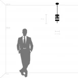 Потолочная люстра на штанге Firenze 725113 (220V, круглые)