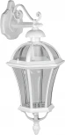 Уличный настенный фонарь Oasis Light ROMA L 95202L/02 W (220V, фонарь, IP44)