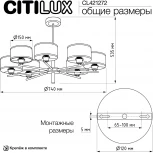 Потолочная люстра на штанге Citilux Alton CL421272 (220V)