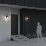 Настенный фонарь уличный Maytoni Fleur O414WL-01GB (220V, IP44)