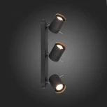 Спот ST Luce Fanale SL597.401.03 (220V, круглые)