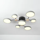 Потолочная люстра с пультом на штанге LED Lu Carte LC-11-1717