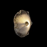 Настенный светильник Loft It Bloom 10352W/A AB (220V, выключатель, цветы)