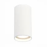 Светильник потолочный ST Luce ST157.532.15 (LED, 220V, круглые, IP44)