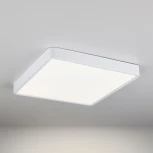 Потолочный светильник Elektrostandard DLR020-DLS020 DLS034 24W 4200K (LED, 220V)