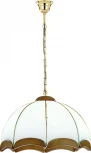 Подвесной светильник Alfa Sikorka 767