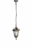 Уличный светильник подвесной Oasis Light 95205S Gb (220V, на цепи, IP44)