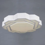 Потолочный светильник Omnilux Darwen OML-43607-59 (LED, 220V)