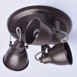 Спот DeMarkt Ринген 547020403 (220V, круглые)