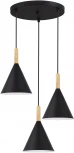 Светильник подвесной Evoluce Arket SLE1255-423-03 Черный/Черный E27 3*40W (220V, на проводе)
