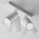 Потолочный светильник FOCUS S GU10 2x10Вт Maytoni Technical C051CL-U-2W (220V, круглые)