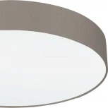 Настенно-потолочный светильник Eglo Pasteri 97612