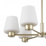 Подвесная люстра MyFar Mark MR2341-6P (220V, на цепи)