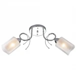 Потолочная люстра Eurosvet Renee 30122/2 хром