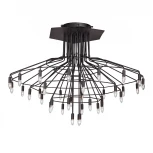 Потолочная люстра Vitaluce V4720-1/36PL