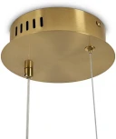 Подвесной светильник Freya Eclat FR6182PL-L14BS (LED, 220V, на проводе, круглые)