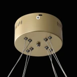 Подвесная люстра светодиодная ImperiumLoft Ariana01 (201173-23) (220V, на тросе)