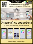 Потолочная люстра светодиодная с управлением смартфоном Citilux Джемини Смарт CL229A155E RGB