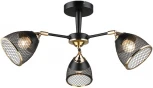 Потолочная люстра Wedo Light Aniko WD3637/3C-BK-FGD-BK