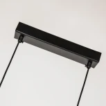 Подвесной светильник Favourite Raya 4096-2P (LED, 220V, на проводе)