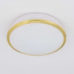 Встраиваемый точечный светильник Citilux Дельта CLD6008Wz (LED, 220V, диммер, IP21)