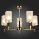 Люстра потолочная на штанге Granze SLE300302-05