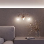 Настенный светильник светодиодный шарики Eurosvet Ragno 90031/3 золото (a070287) (220V, шарики)