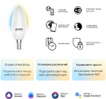 Умная лампочка светодиодная Gauss Smart Home 1110112