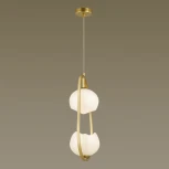 Подвесной светильник Odeon Light Waterlily 4873/2