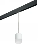 Трековый светильник однофазный 220V Lightstar Rullo PRORP348681 (круглые)