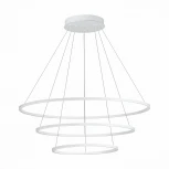 Подвесной светильник ST Luce St604 Out ST604.543.114 (LED, 220V, на тросе, кольцо)