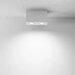 Потолочный светильник Atom GU10 2x50Вт Maytoni Technical C017CL-02W (220V)