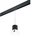 Трековый светильник однофазный 220V Lightstar Rullo PRORP3487486