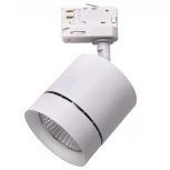 Трековый светильник Lightstar Canno 301562