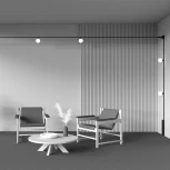 Трековый светильник Maytoni Elasity Luna TR171-1-5W3K-WB (LED, 48V, шар)