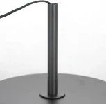 Торшер Lussole LSP-0590 (220V, IP21)