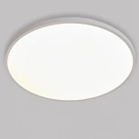 Светильник светодиодный настенно-потолочный Lightstar Arco Eco 225750