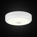 Настенно-потолочный светильник Citilux Фостер-1 CL706120